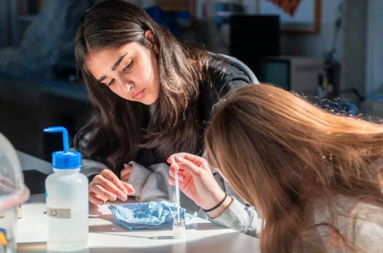 Zwei Schülerinnen arbeiten mit einer Pipette und bereiten Proben für die Untersuchung vor.