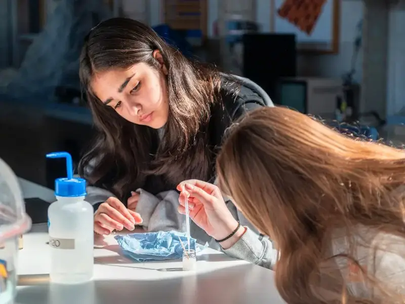 FH-2026 Zwei Schülerinnen arbeiten mit einer Pipette und bereiten Proben für die Untersuchung vor.