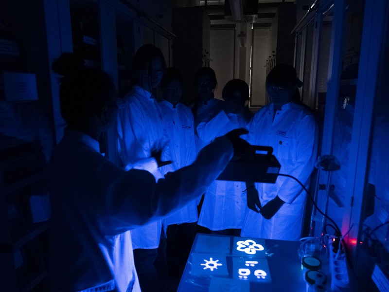 girlsday-2026-chemieinstitut-3 Experimete mit Schwarzlicht